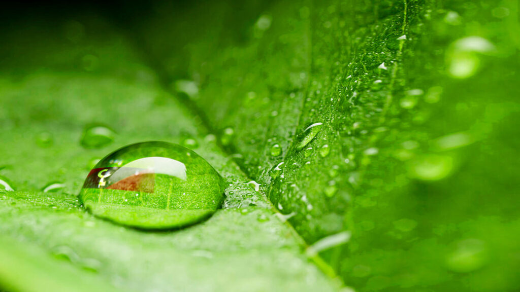 ISO-14001-Certified-indiana
